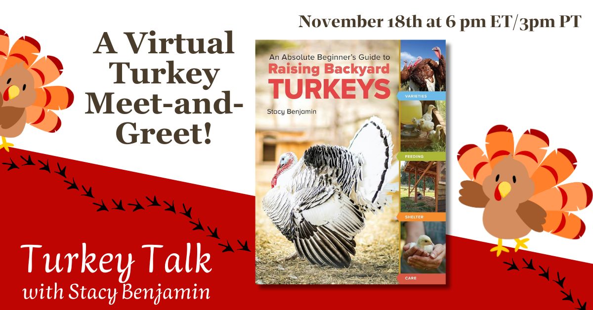 Turkey Talk, a Virtual Turkey Meet and Greet with Stacy Benjamin